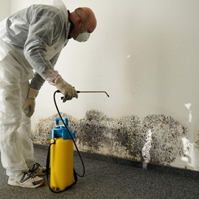 Mould in a Rental Property – Everything You Need to Know as a Tenant